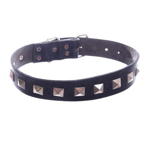 Leather Pointed Dog Collar (Medium
