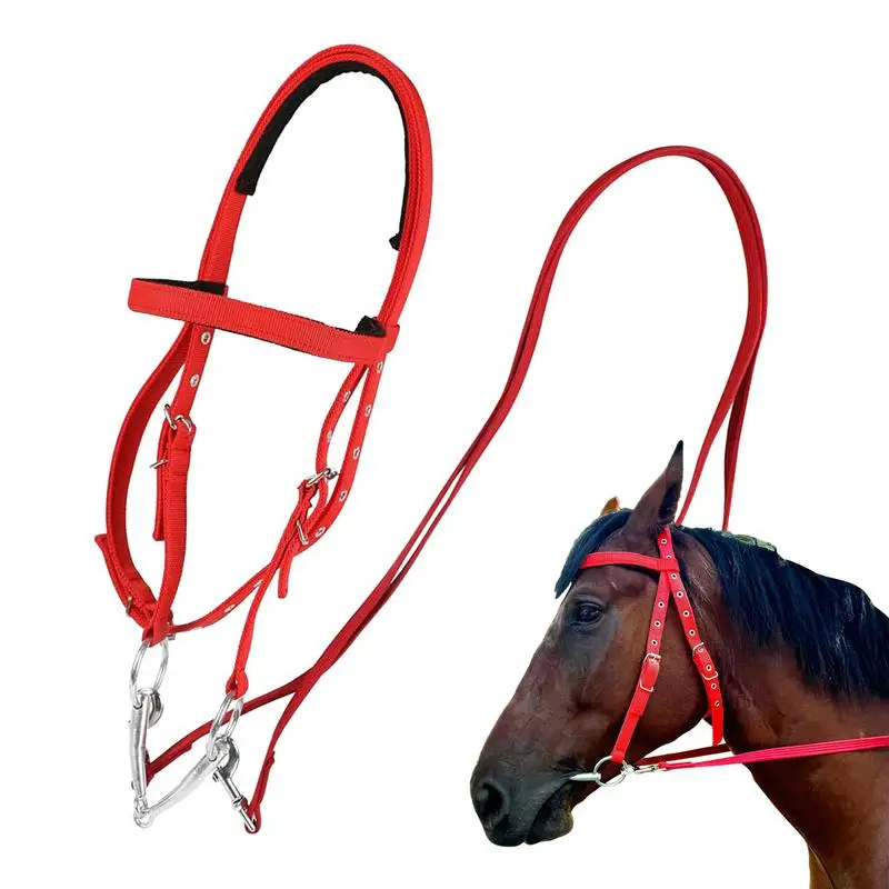 Adjustable Nylon Horse Bridle with Snaffle Noseband & Reins – Soft-Lined Equestrian Gear for Trail Riding (Unisex) - الصورة 6