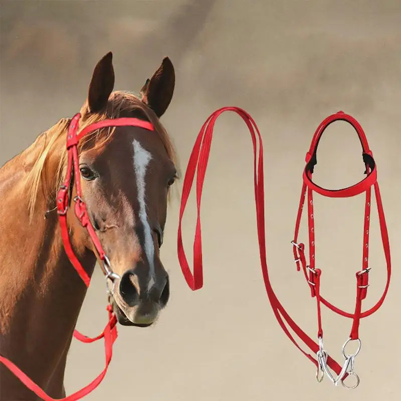 Adjustable Nylon Horse Bridle with Snaffle Noseband & Reins – Soft-Lined Equestrian Gear for Trail Riding (Unisex) - الصورة 2