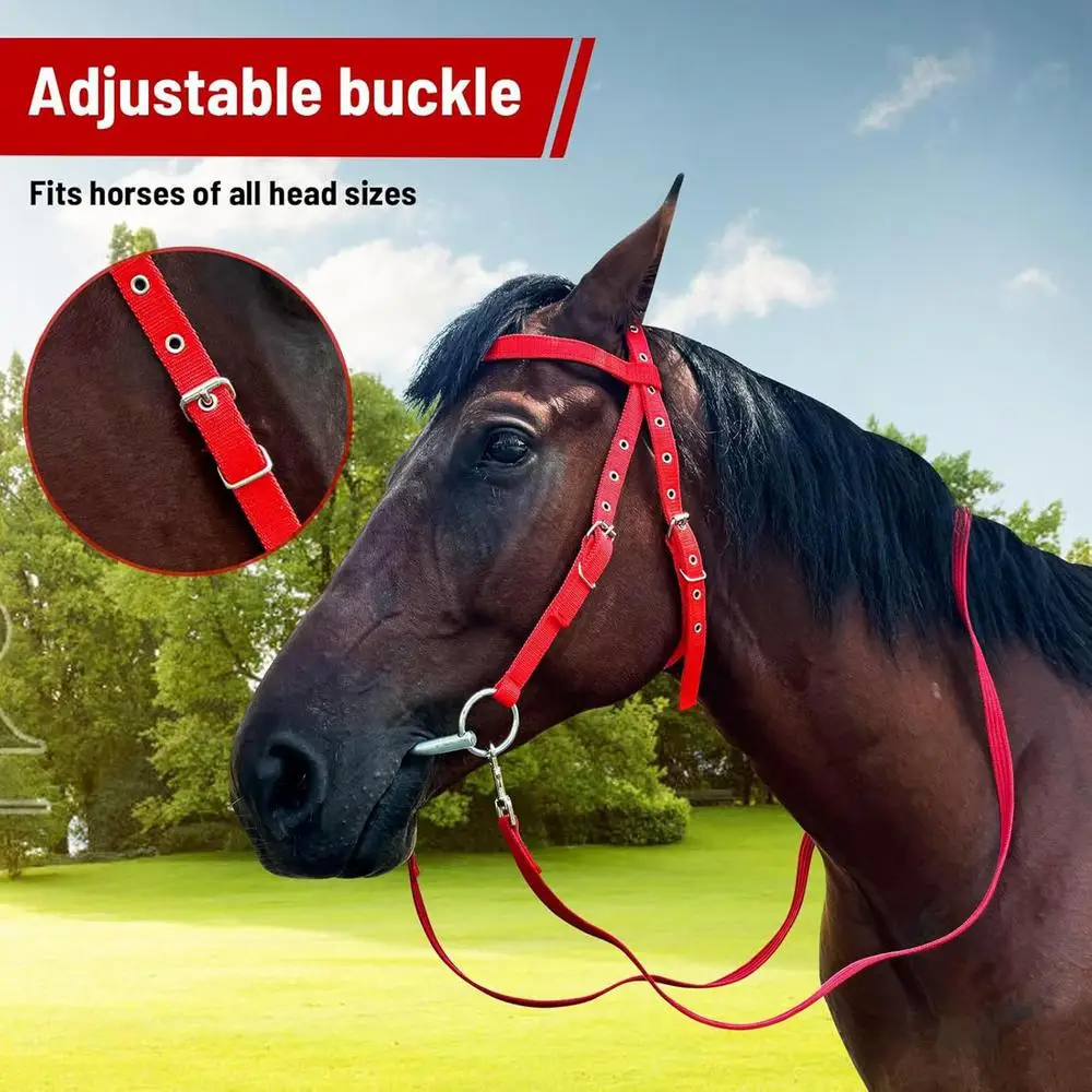 Adjustable Nylon Horse Bridle with Snaffle Noseband & Reins – Soft-Lined Equestrian Gear for Trail Riding (Unisex) - الصورة 13