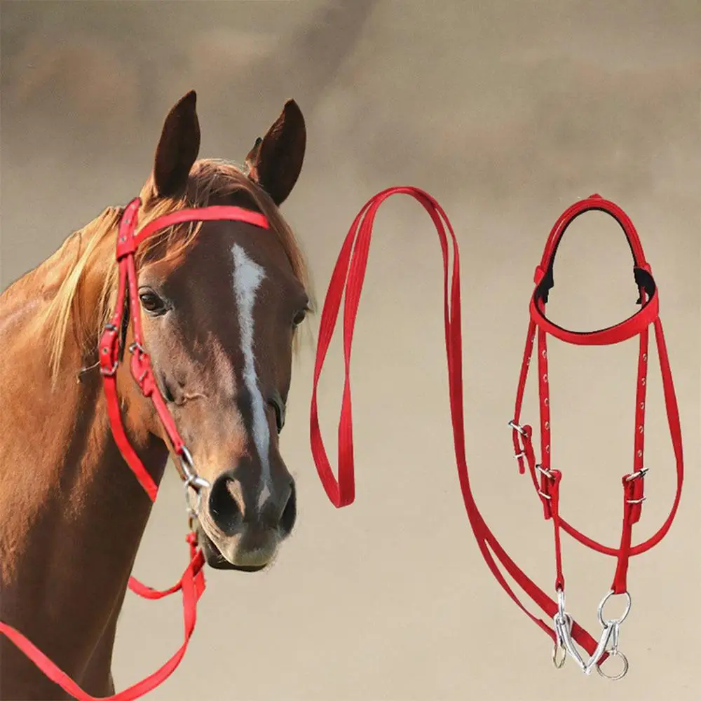 Adjustable Nylon Horse Bridle with Snaffle Noseband & Reins – Soft-Lined Equestrian Gear for Trail Riding (Unisex) - الصورة 10